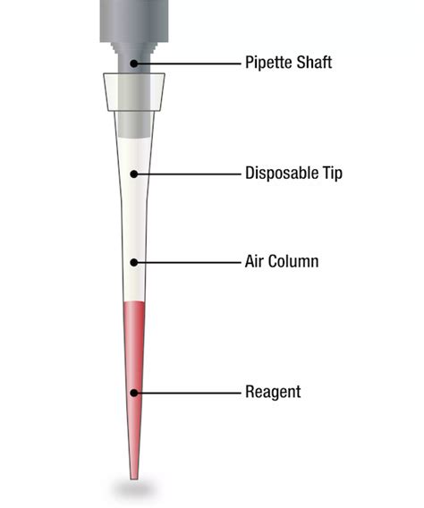 yura badenov hour pipette|labor force pipette.